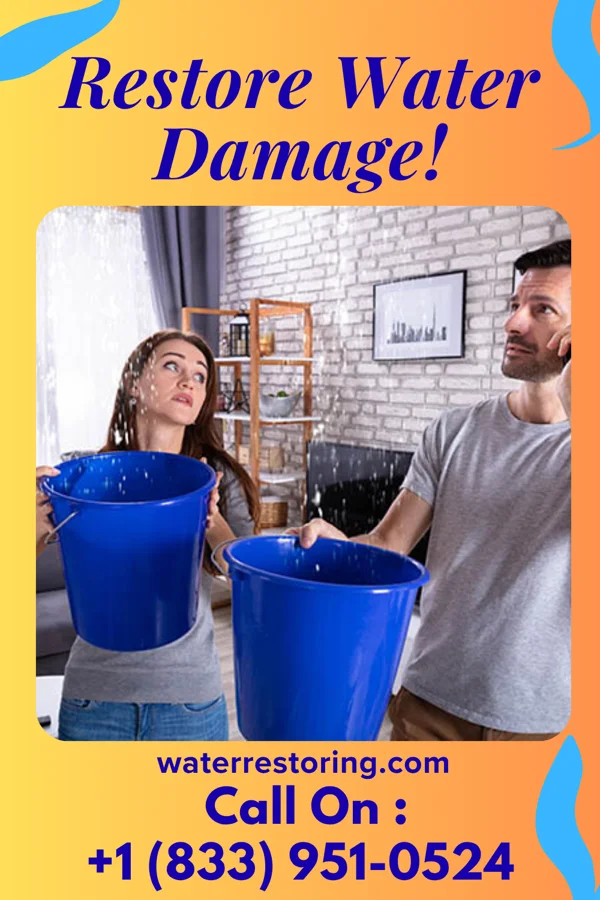 water restoration Victory Water Damage Professionals Robstown