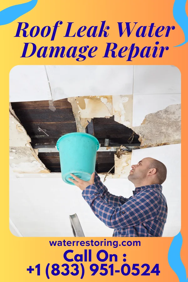 Roof Leak Water Damage Repair in Robstown, TX